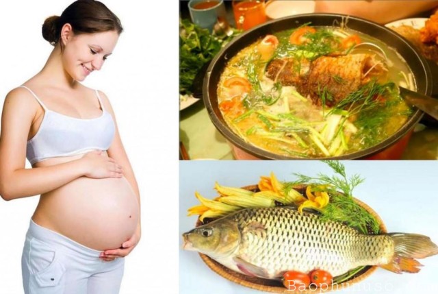 Bà bầu ăn cá chép sẽ có tác dụng gì với thai nhi? Ăn cá chép bao nhiêu là đủ