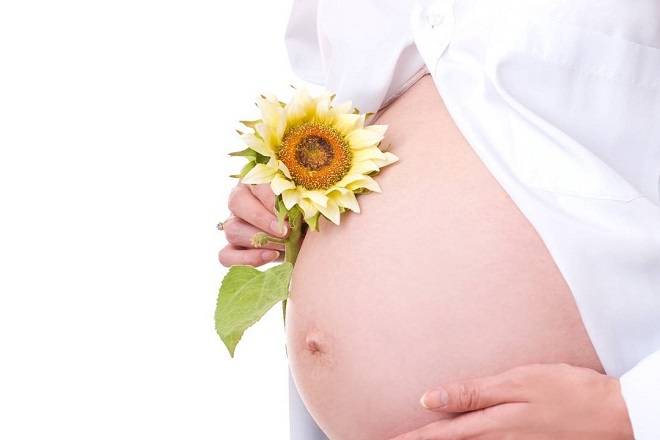 phụ nữ mang thai và hoa hướng dương