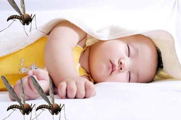 Cách xử trí và nguyên tắc phòng tránh khi bé bị muỗi đốt