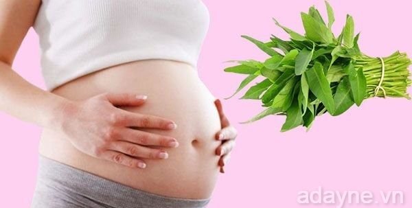 Sau sinh bao lâu được ăn rau muống?