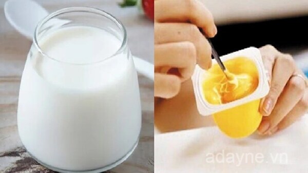 Sữa chua, váng sữa là gì? Trẻ mấy tháng ăn được sữa chua, váng sữa?