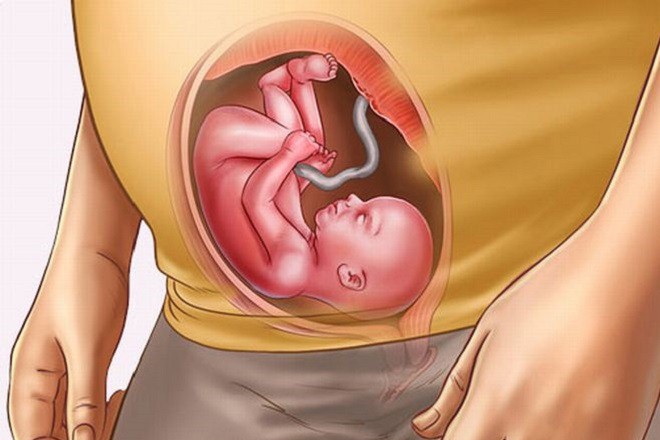Những thay đổi của mẹ bầu và thai nhi tuần thai thứ 6