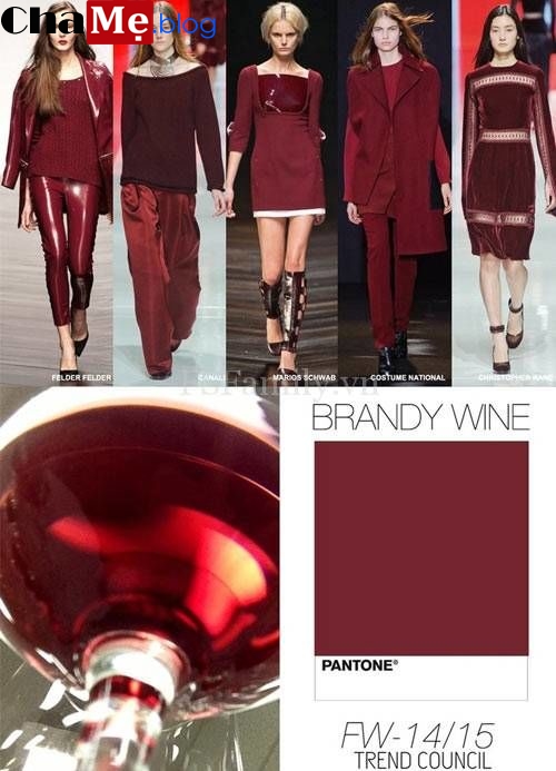 Xu hướng thời trang với gam màu đỏ rượu vang đẹp cho mùa thu đông 2021 - 2021