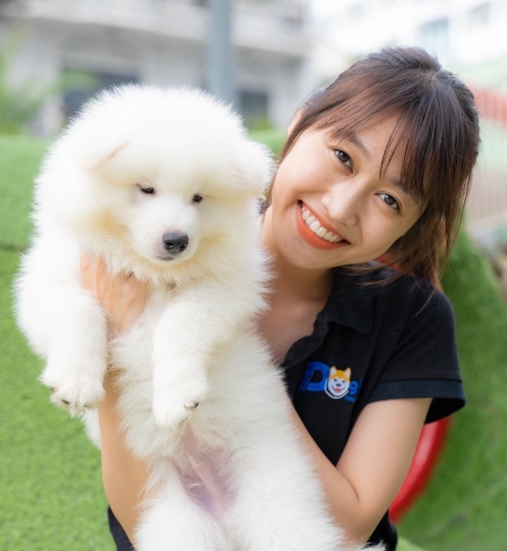 Tìm mua chó samoyed giá rẻ chất lượng tại các trại chó Việt Nam.