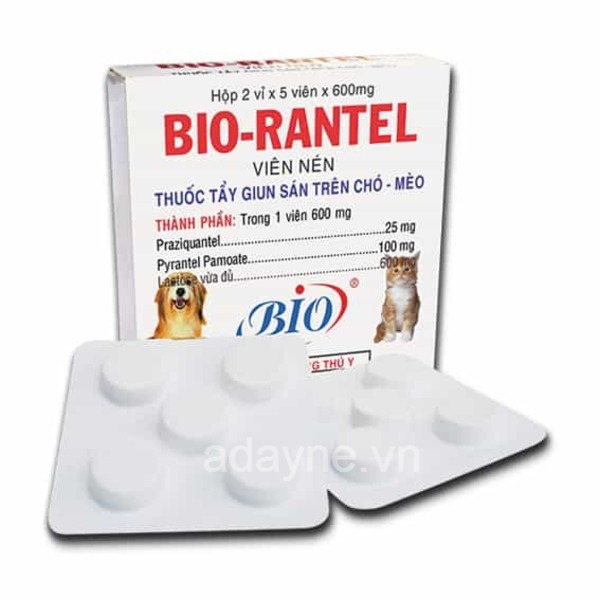 Thuốc tẩy giun sán Bio Rantel - thuốc tẩy giun cho chó con loại nào tốt
