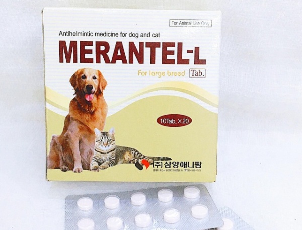 Thuốc tẩy giun Merantel-L - thuốc tẩy giun cho mèo loại nào tốt